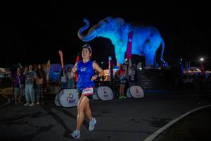 BIB: 
                            <button type="button" onclick="openModal(26551880)" class="btn btn-primary btn-sm float-right btn-popup" data-toggle="modal" data-target=".modal-high-quality">
                        <i class="fas fa-shopping-cart"></i> Add to Cart
                    </button>
                                            <button type="button" onclick="isThisMe(26551880, true)" class="btn btn-success btn-sm float-right btn-popup btn-isme hidden" data-toggle="tooltip" data-placement="bottom" title="นี่คือรูปของคุณใช่ไหม คลิกที่นี่เพื่อเอาเข้าอัลบั้ม">
                        <i class="fas fa-plus"></i> Add to album
                    </button>
                    <button type="button" onclick="isThisMe(26551880, false)" class="btn btn-warning btn-sm float-right btn-popup btn-isnotme hidden">
                        <i class="fas fa-ban"></i> Remove from album
                    </button>